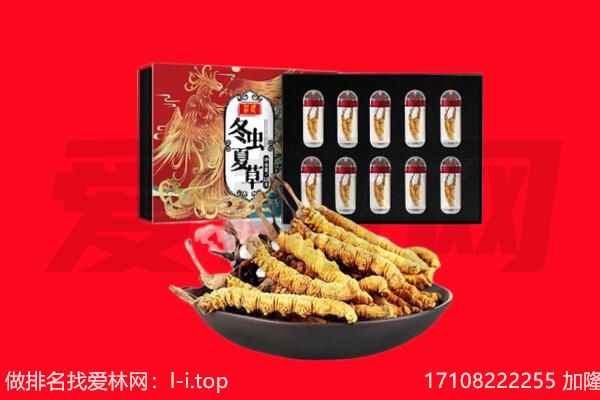 佳木斯回收虫草.jpg